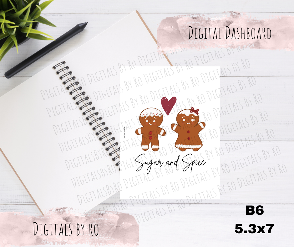 Sugar & Spice Vellum B6 rings