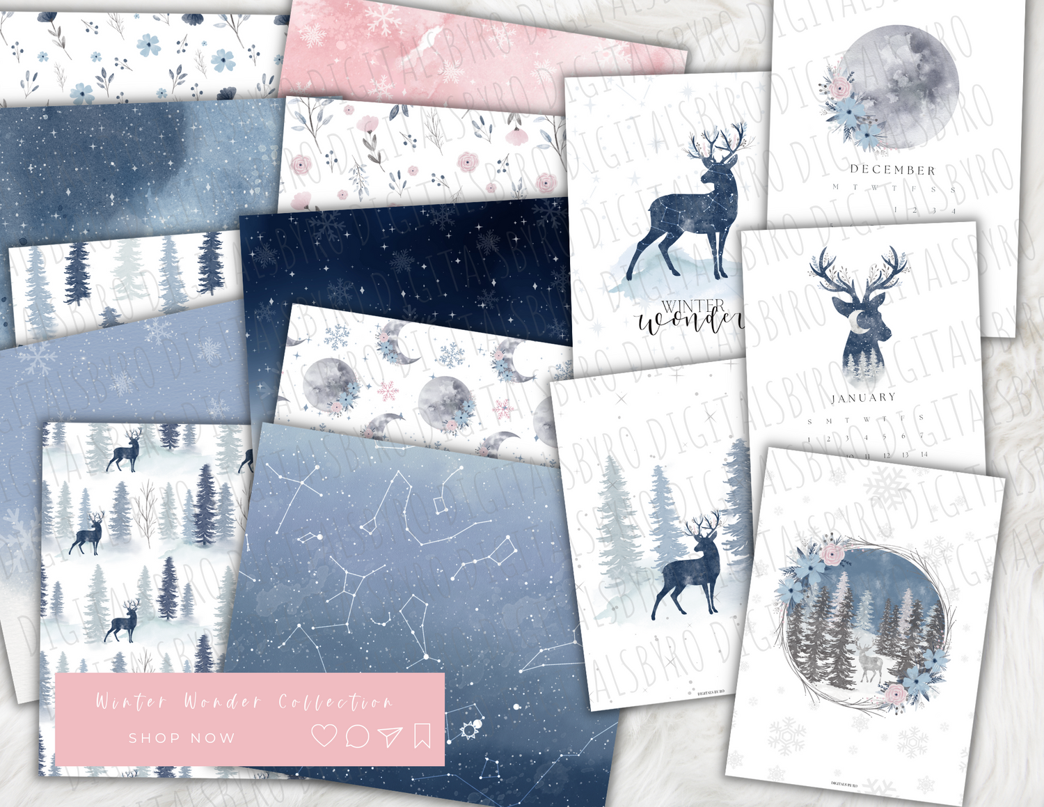 Winter Wonder